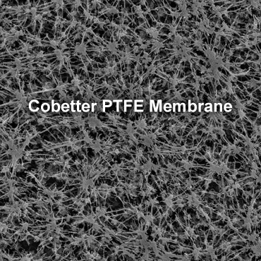 PTFE-cbt.jpg