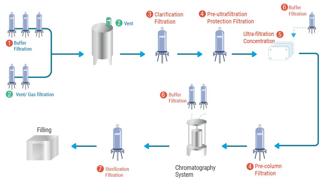 Vaccine-cbt.jpg